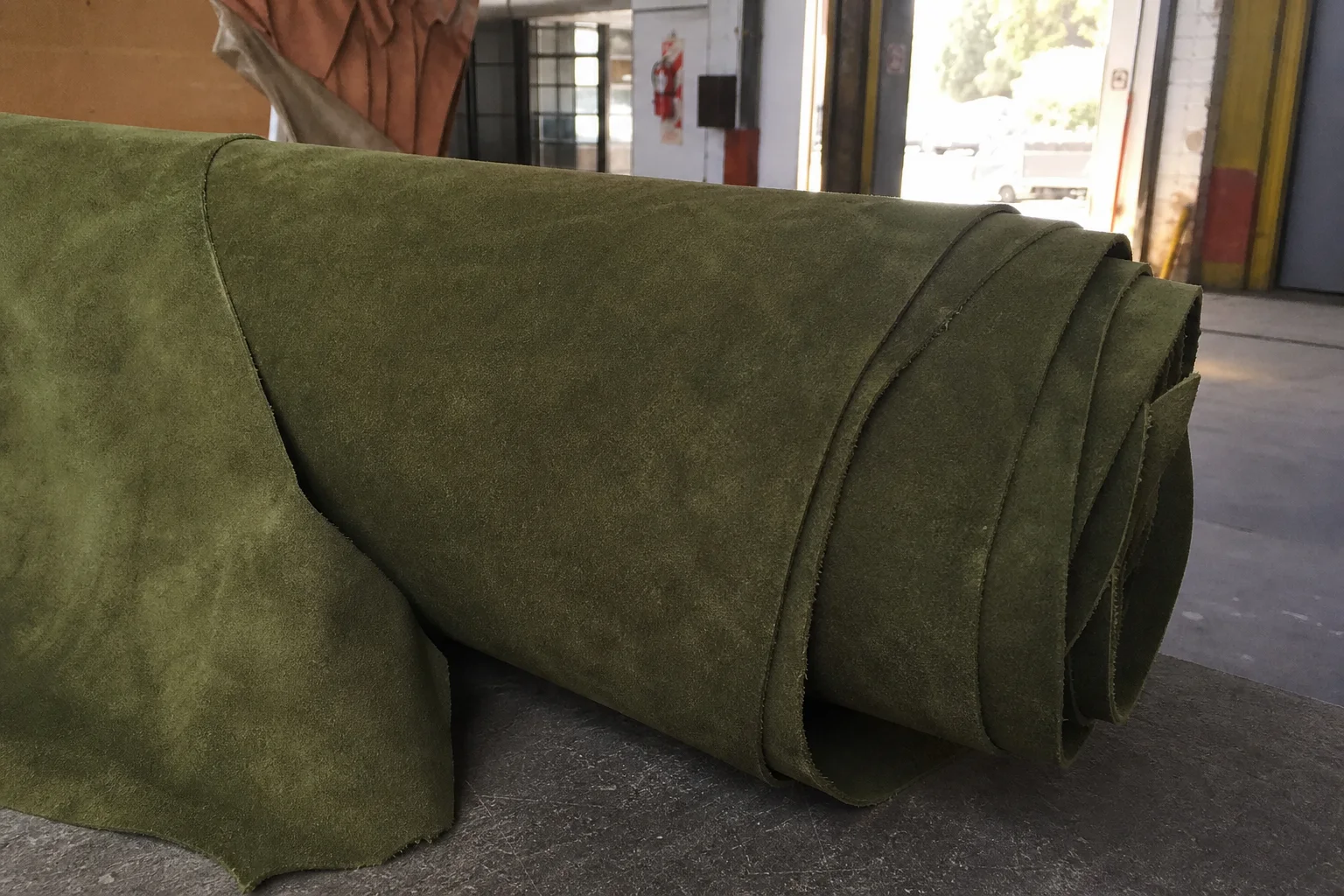 Oliva — cuero mayorista