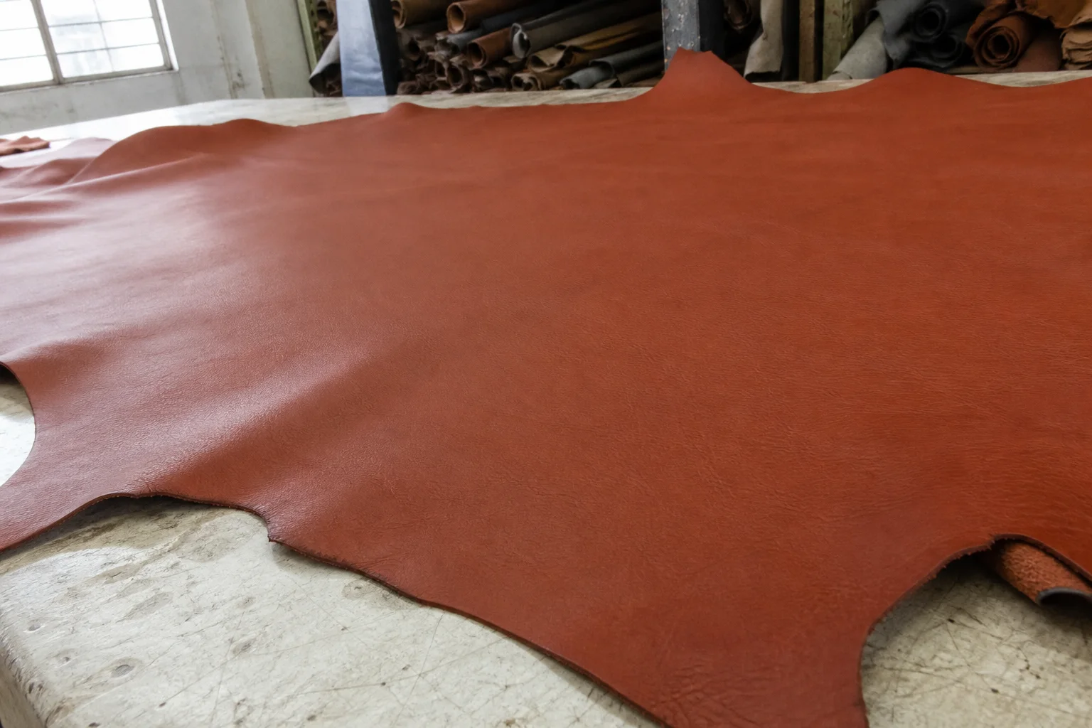 Terracota — cuero mayorista